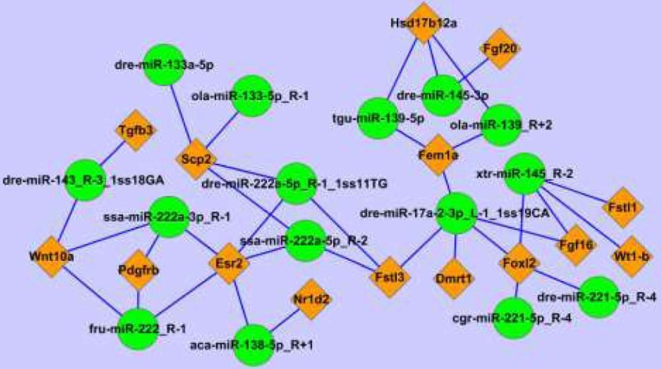 联合转录组测序和小RNA测序分析揭示河川沙