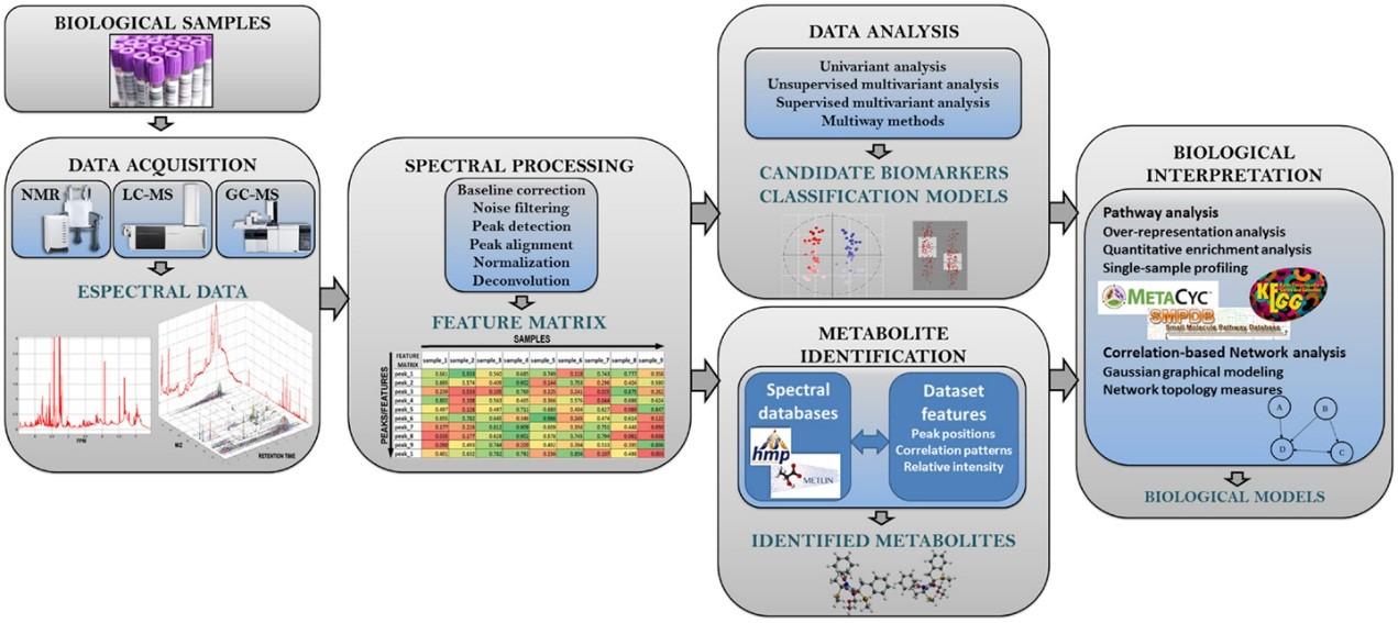 如何开展代谢组学实验(下篇) | 代谢组专题