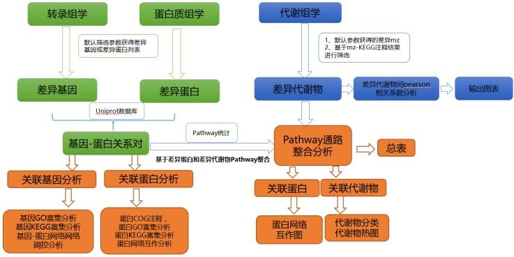 mrna,itraq,代谢组整合分析